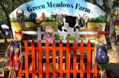 Green Meadows Petting Farm New York City