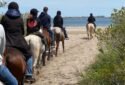 Jamaica Bay Riding Academy Horse riding school in Brooklyn 2