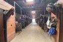 Jamaica Bay Riding Academy Horse riding school in Brooklyn 5