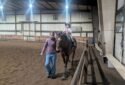Jamaica Bay Riding Academy Horse riding school in Brooklyn 6
