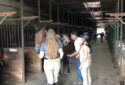 Jamaica Bay Riding Academy Horse riding school in Brooklyn 7