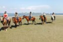 Jamaica Bay Riding Academy Horse riding school in Brooklyn 8