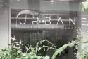 Urbane Brows and Beauty Parlour in Albany New York